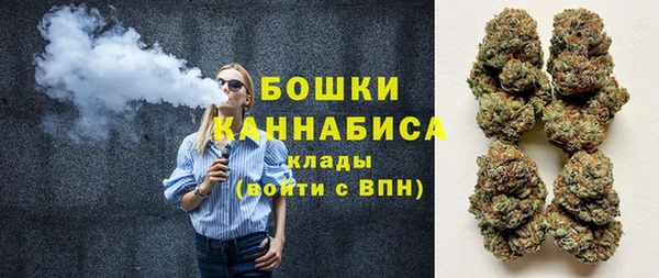 дживик Сатка