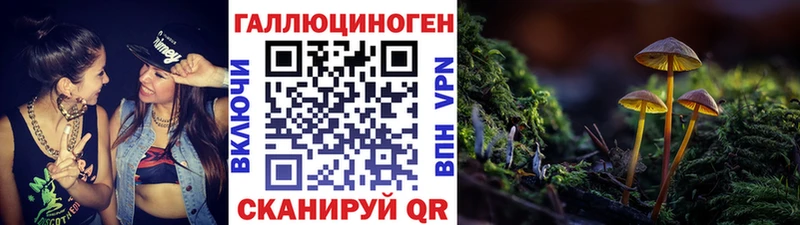 Псилоцибиновые грибы Magic Shrooms  наркошоп  Бирюсинск 
